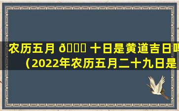 农历五月 🐛 十日是黄道吉日吗（2022年农历五月二十九日是黄道吉日吗）